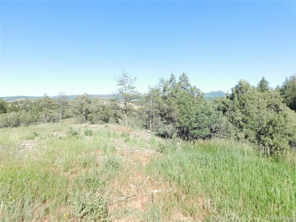 7514 Seminole Drive Larkspur CO 80118