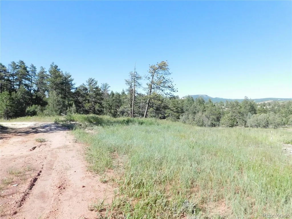 7514 Seminole Drive Larkspur CO 80118