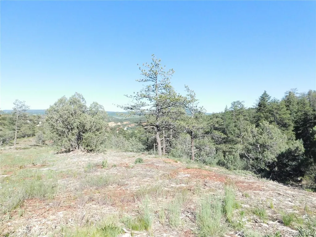 7514 Seminole Drive Larkspur CO 80118