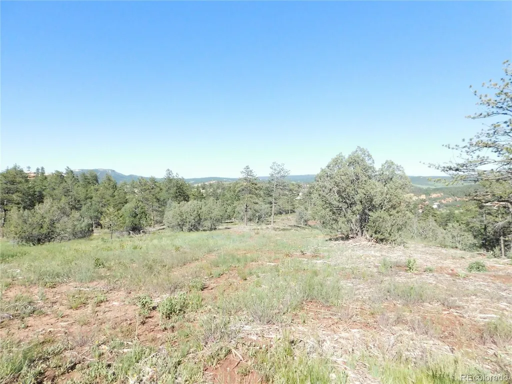 7514 Seminole Drive Larkspur CO 80118