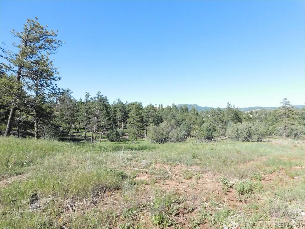 7514 Seminole Drive Larkspur CO 80118