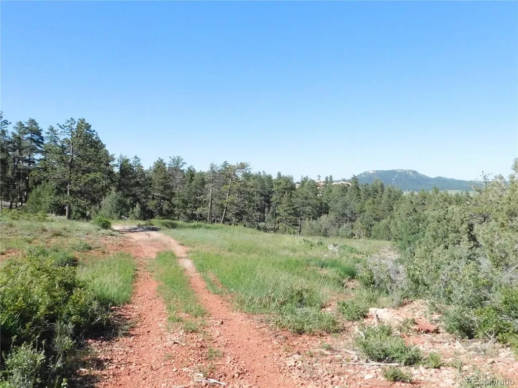 7514 Seminole Drive Larkspur CO 80118