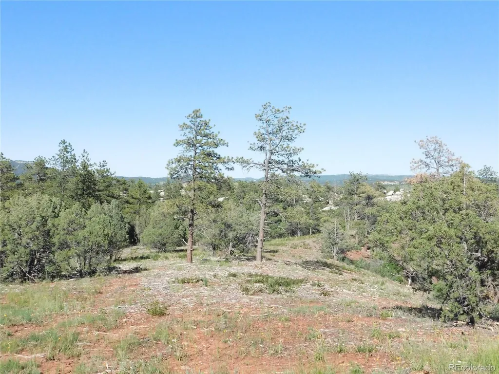 7514 Seminole Drive Larkspur CO 80118