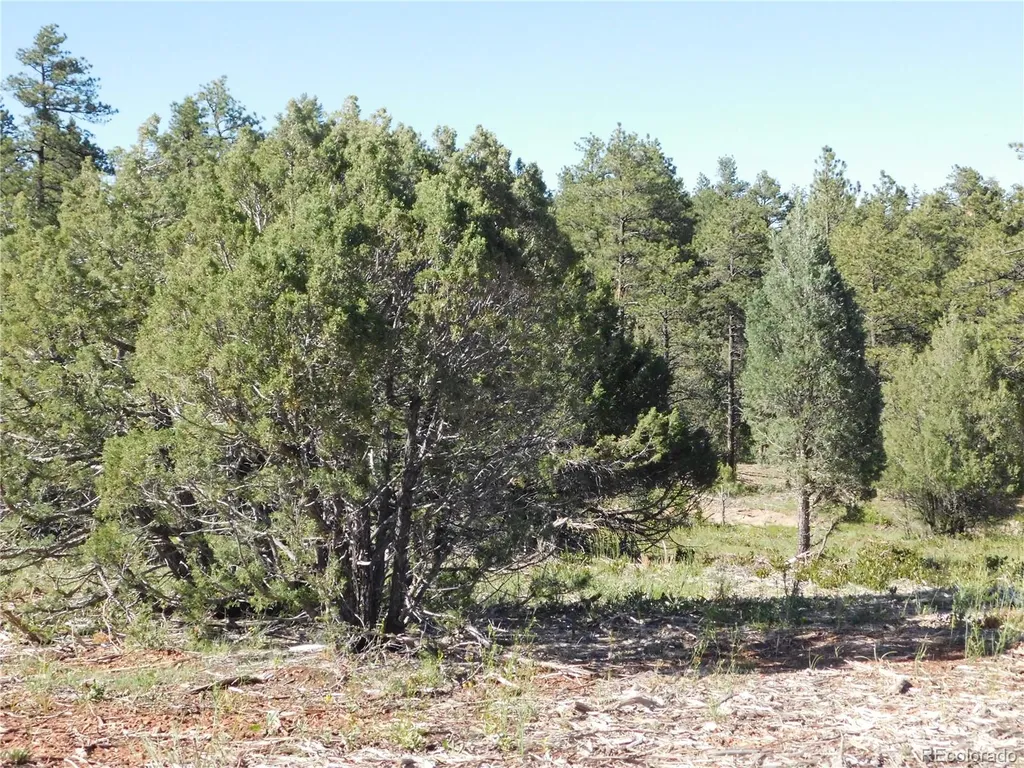7514 Seminole Drive Larkspur CO 80118