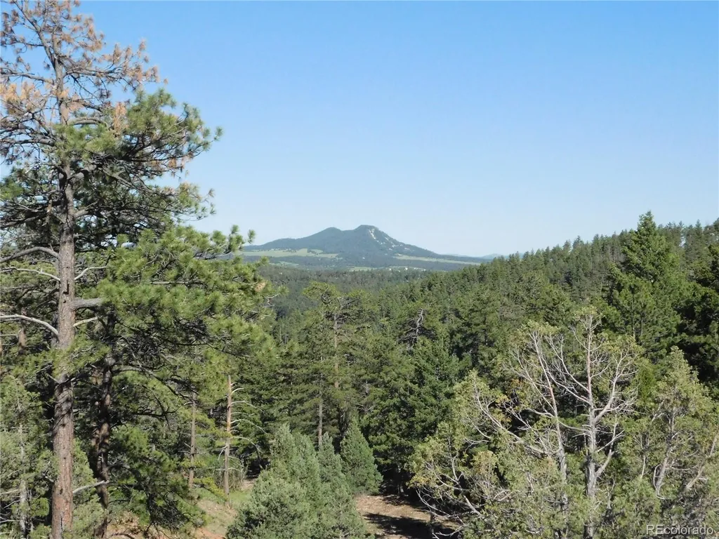 7514 Seminole Drive Larkspur CO 80118