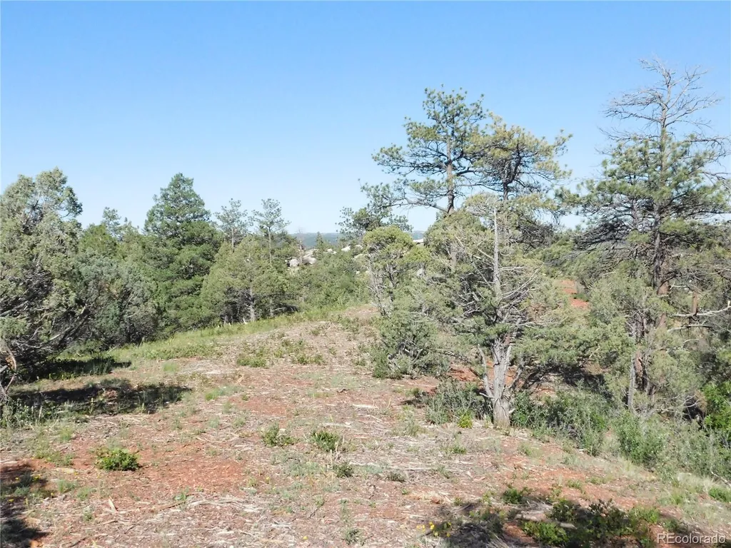 7514 Seminole Drive Larkspur CO 80118