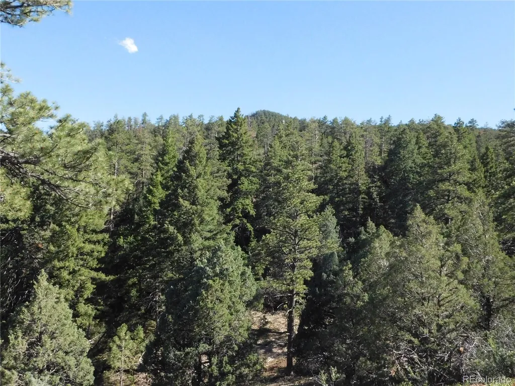 7514 Seminole Drive Larkspur CO 80118