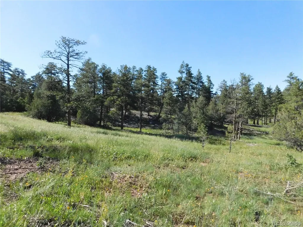 7514 Seminole Drive Larkspur CO 80118