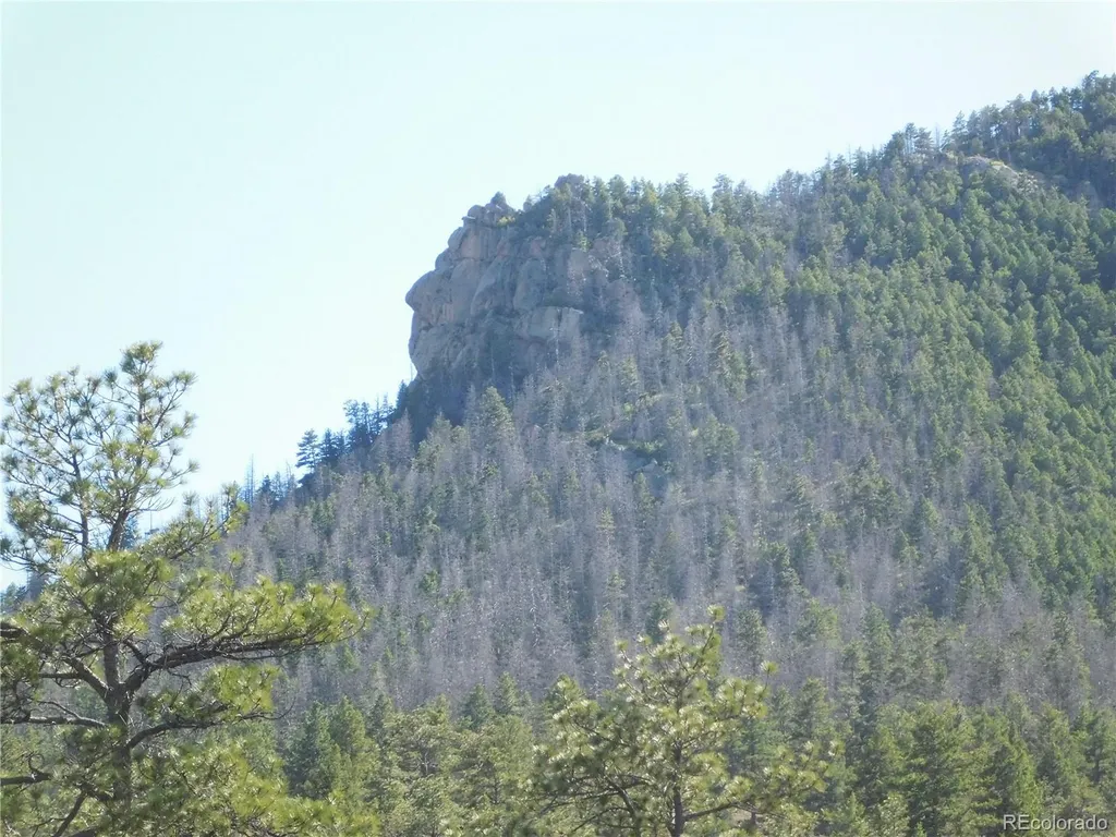 7514 Seminole Drive Larkspur CO 80118
