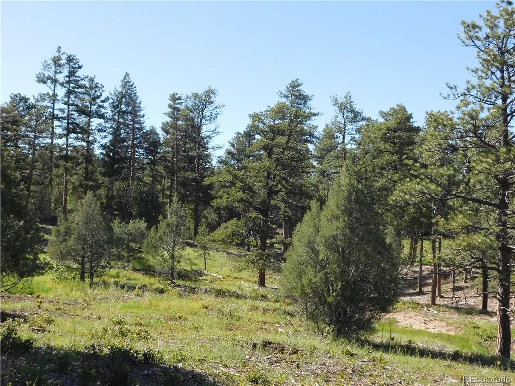 7514 Seminole Drive Larkspur CO 80118
