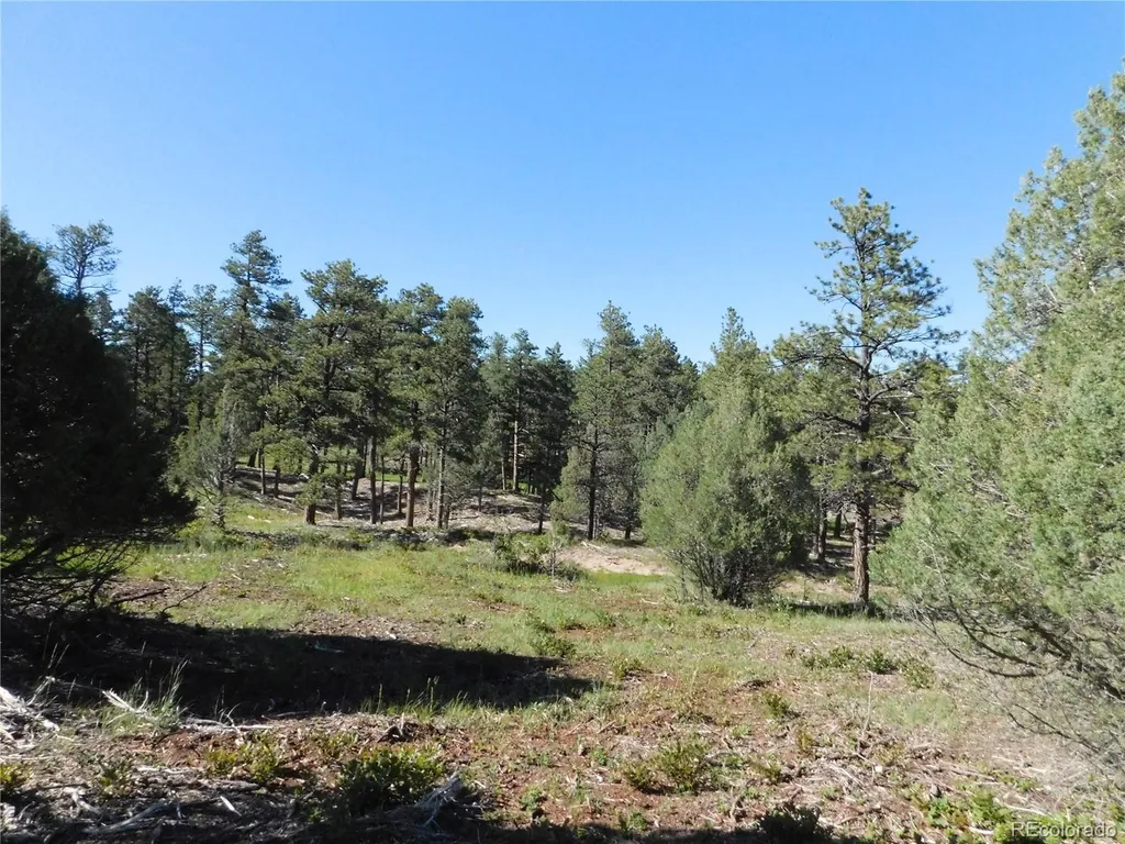 7514 Seminole Drive Larkspur CO 80118