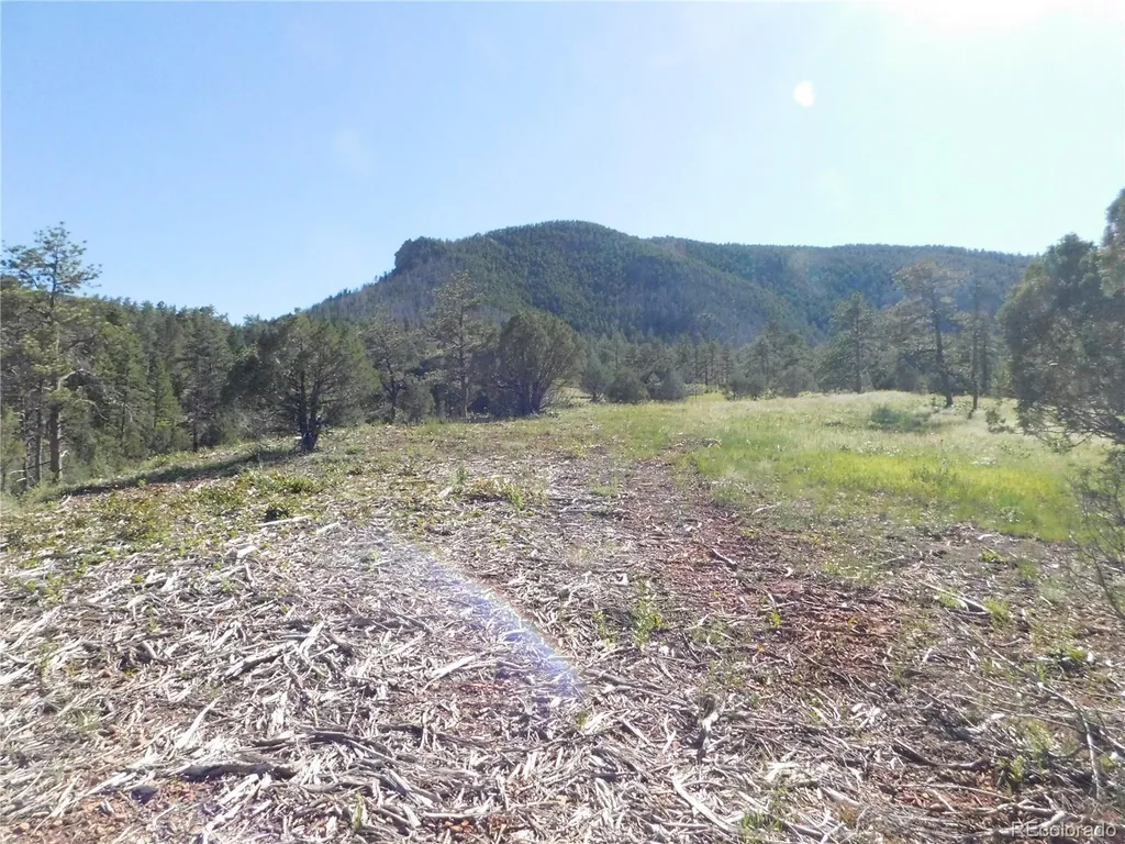 7514 Seminole Drive Larkspur CO 80118