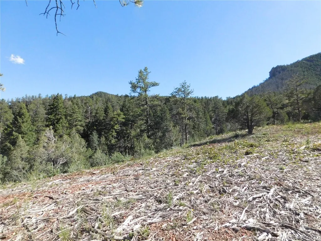 7514 Seminole Drive Larkspur CO 80118