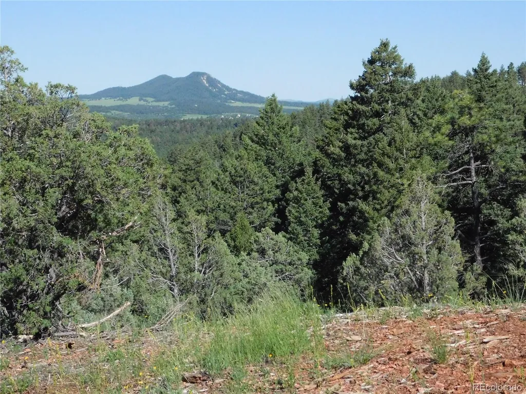 7514 Seminole Drive Larkspur CO 80118