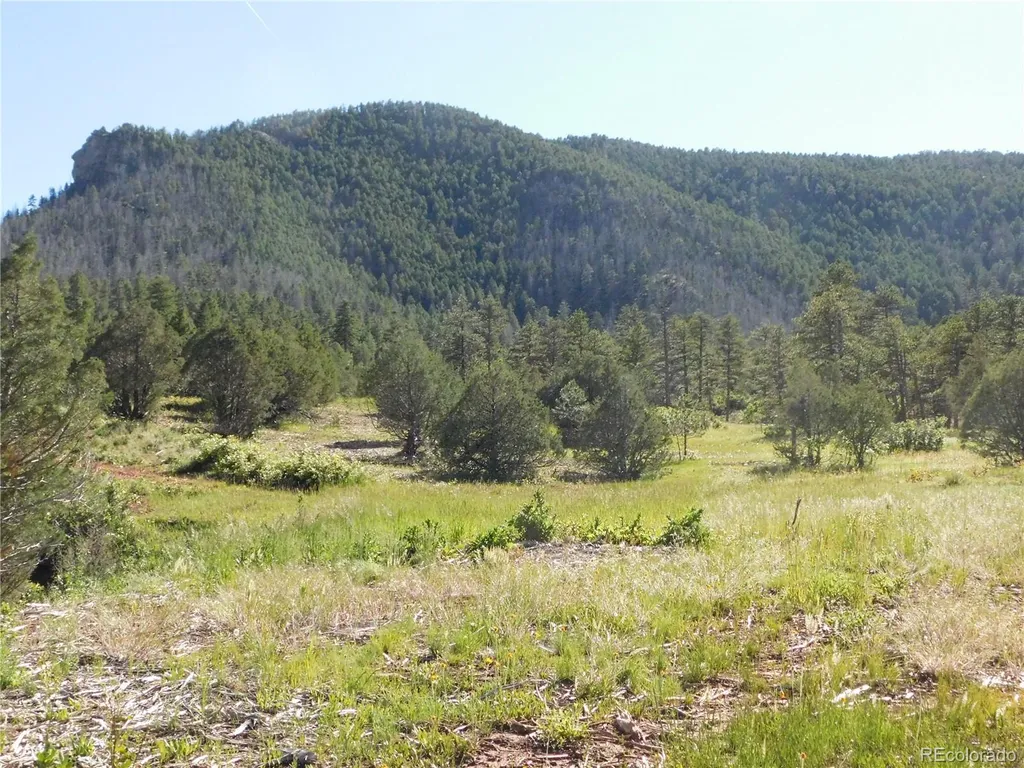 7514 Seminole Drive Larkspur CO 80118