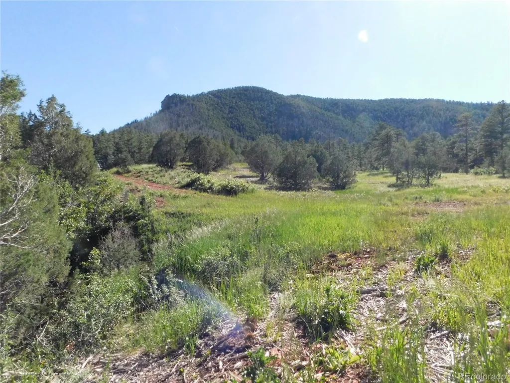 7514 Seminole Drive Larkspur CO 80118