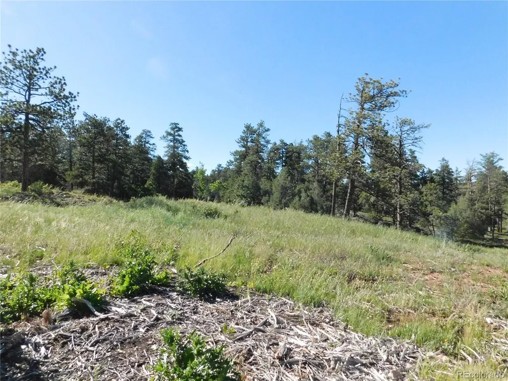 7514 Seminole Drive Larkspur CO 80118