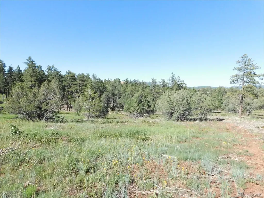 7514 Seminole Drive Larkspur CO 80118