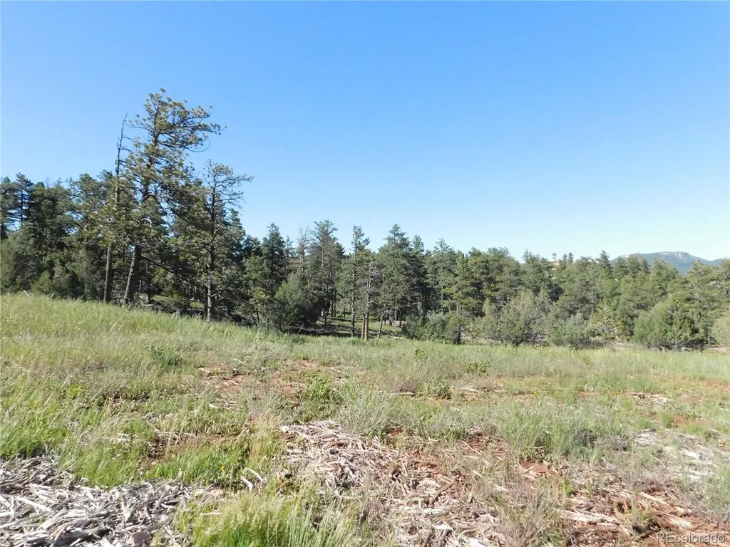 7514 Seminole Drive Larkspur CO 80118