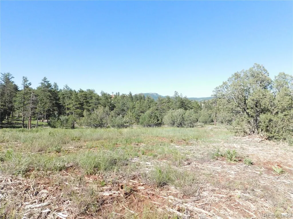 7514 Seminole Drive Larkspur CO 80118