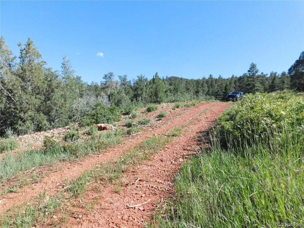 7514 Seminole Drive Larkspur CO 80118