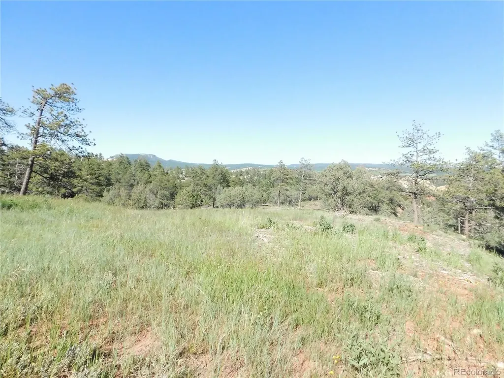 7514 Seminole Drive Larkspur CO 80118