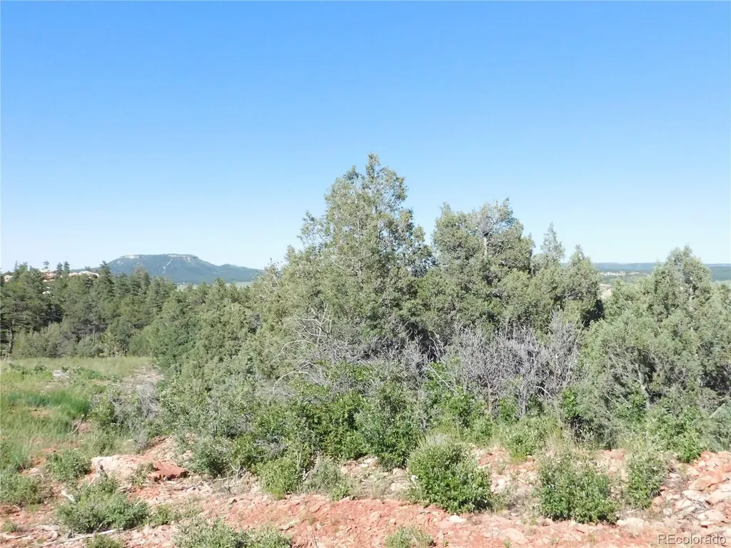 7514 Seminole Drive Larkspur CO 80118