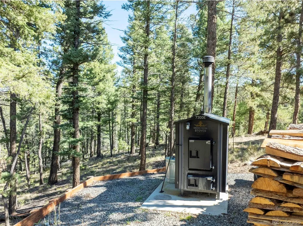 80 Feldspar Road Florissant CO 80816
