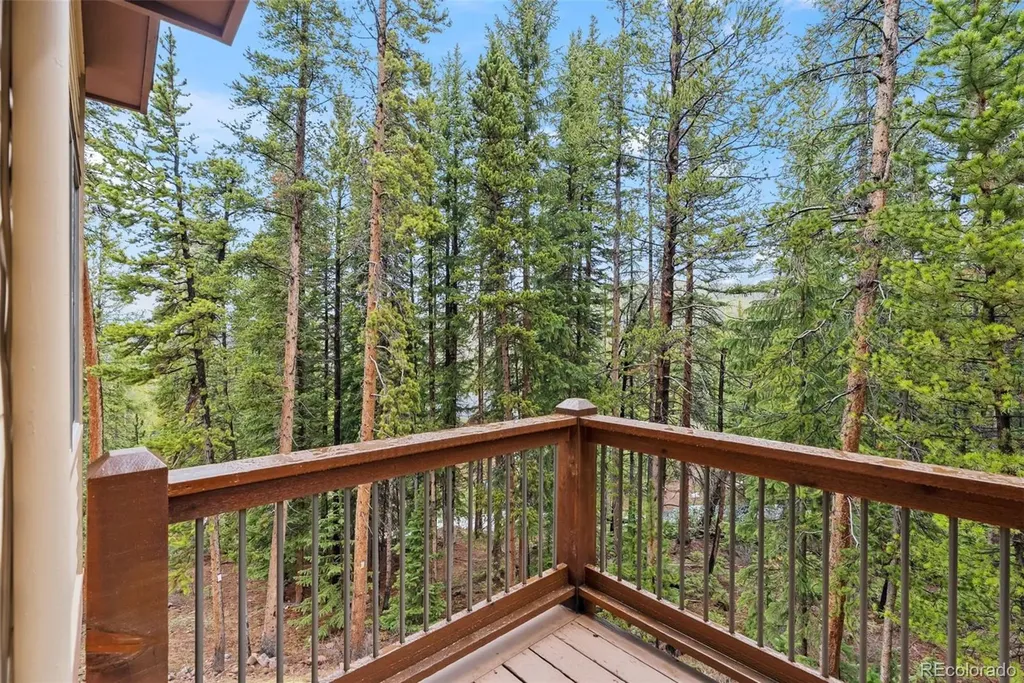 101 County Road 531 Breckenridge CO 80424
