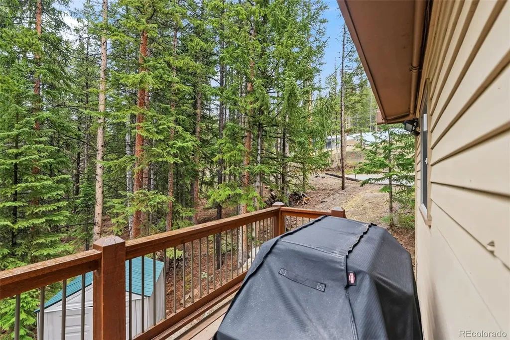 101 County Road 531 Breckenridge CO 80424