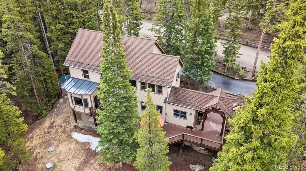 101 County Road 531 Breckenridge CO 80424