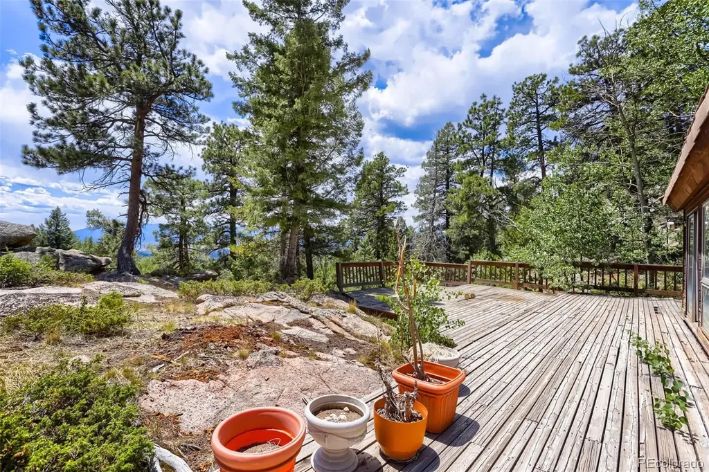 29821 Kings Valley E Conifer CO 80433
