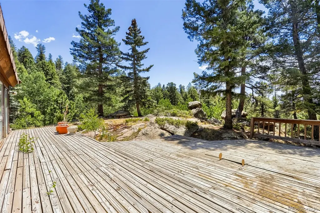 29821 Kings Valley E Conifer CO 80433