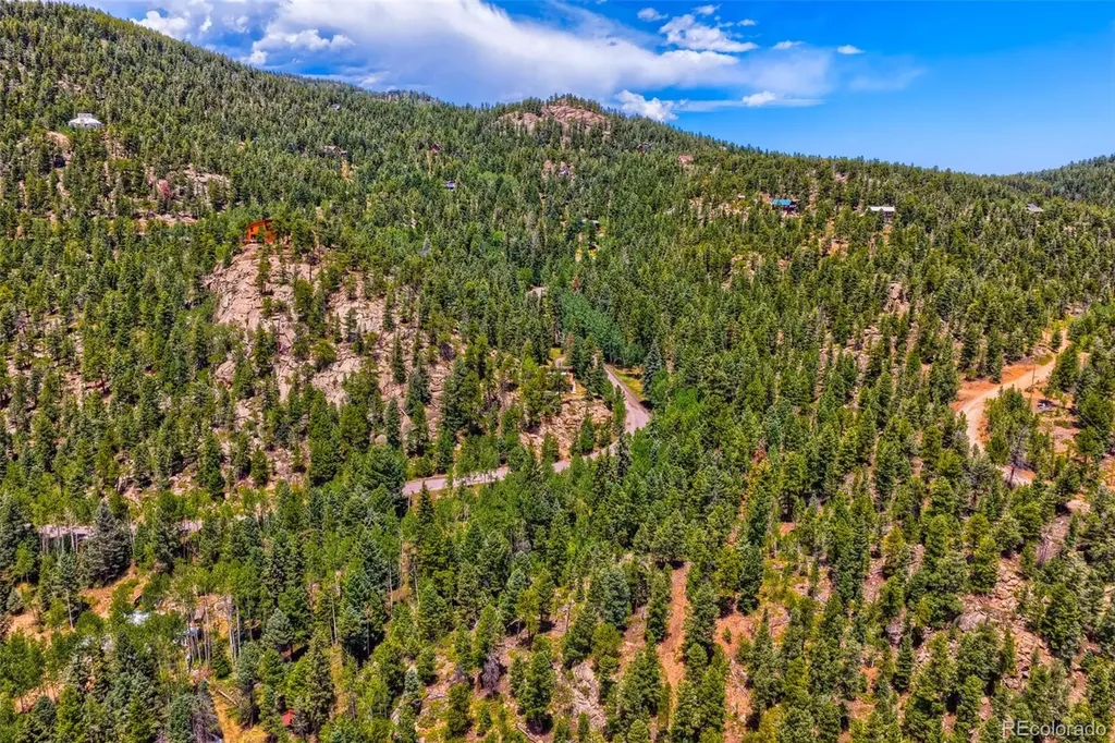 29821 Kings Valley E Conifer CO 80433