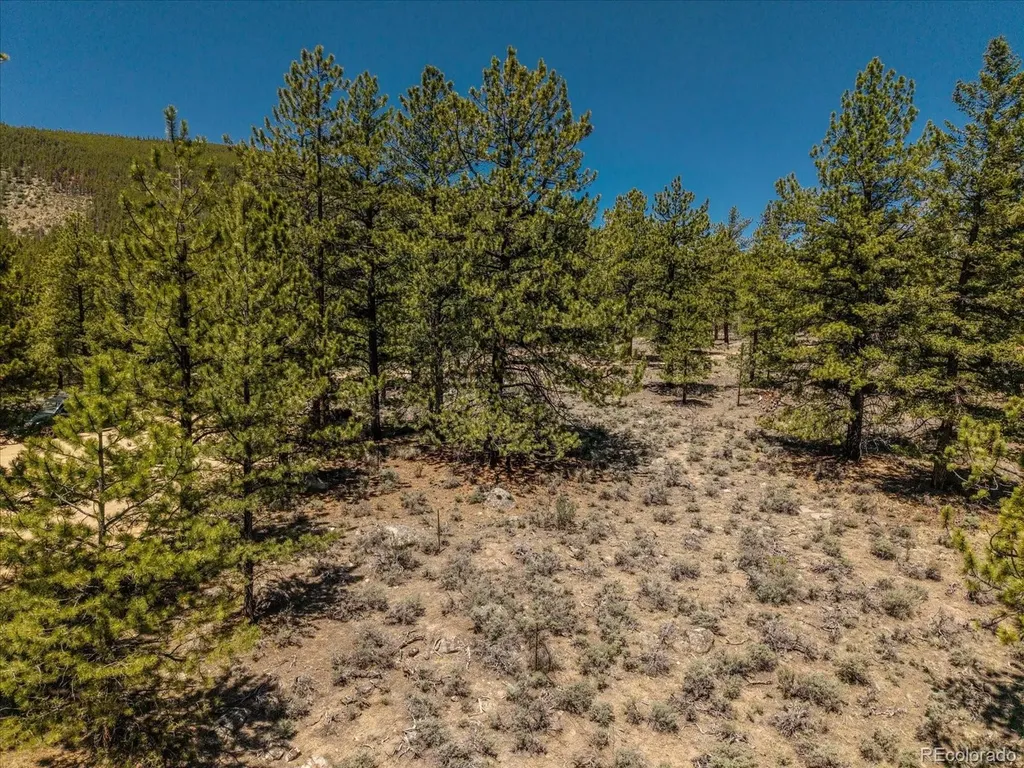 Overlook Drive Buena Vista CO 81211
