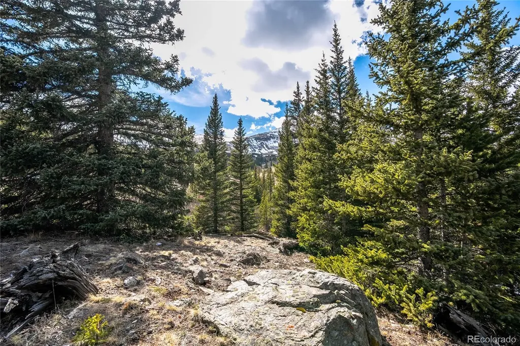 199 Zinc Road Alma CO 80440
