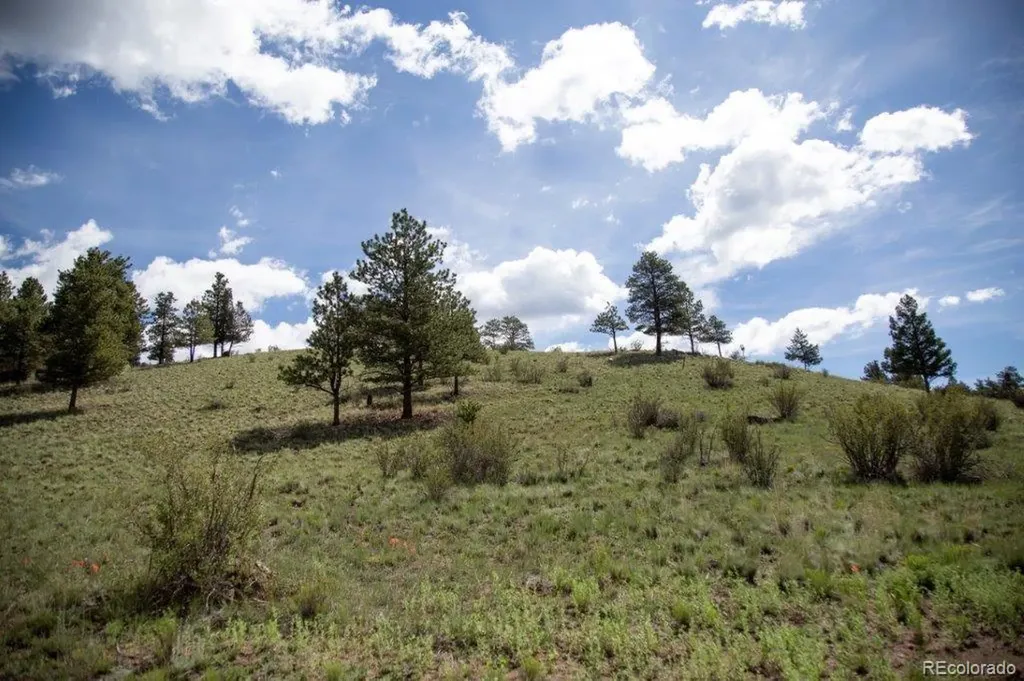475 Cliff View Drive Creede CO 81130