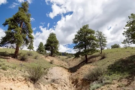 475 Cliff View Drive Creede CO 81130