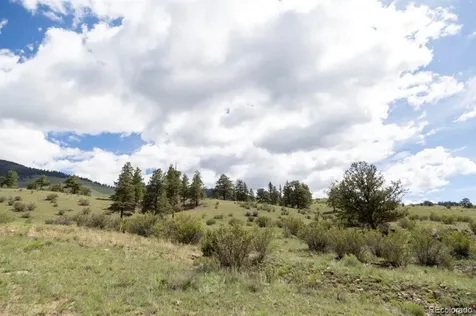475 Cliff View Drive Creede CO 81130