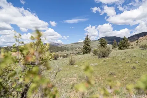 475 Cliff View Drive Creede CO 81130