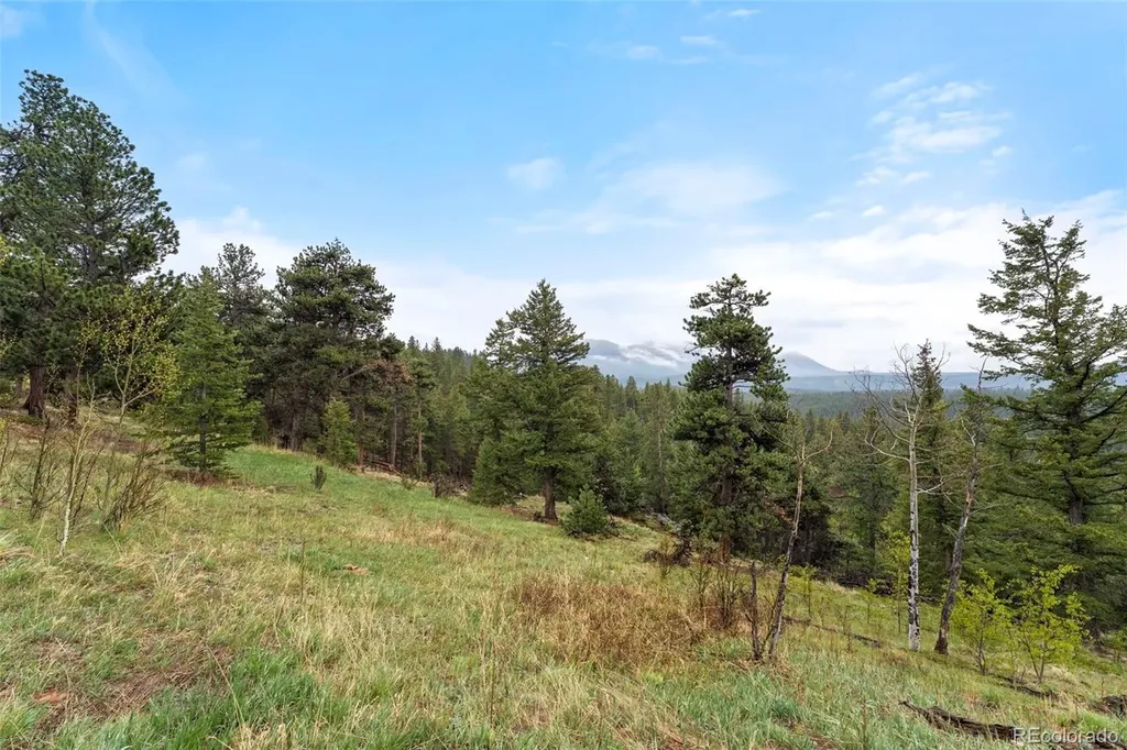 515 N Beaver Road Black Hawk CO 80422