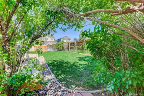4823 Apollo Bay Drive Highlands Ranch CO 80130
