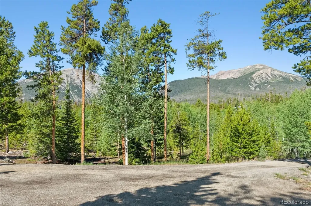 1165 Emerald Road Silverthorne CO 80498