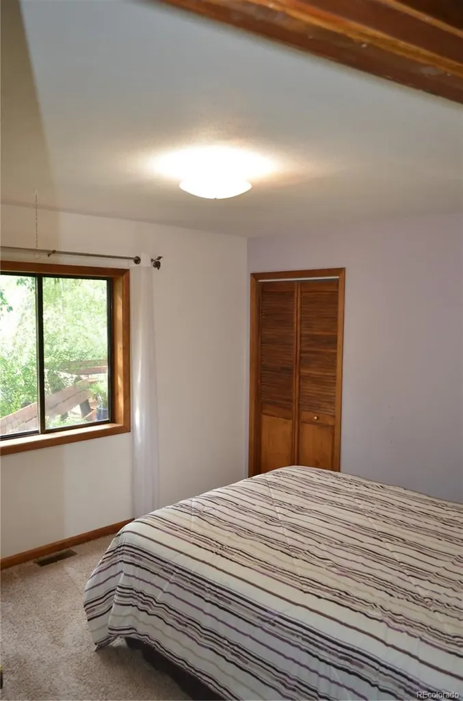 6011 County Road 210 Salida CO 81201