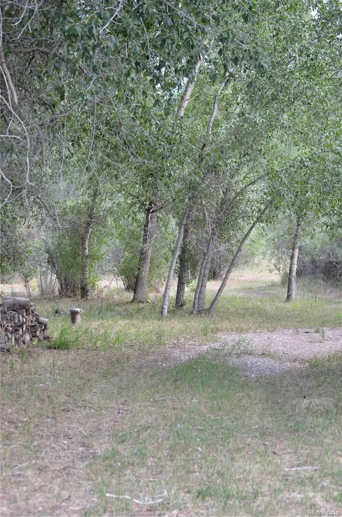 6011 County Road 210 Salida CO 81201