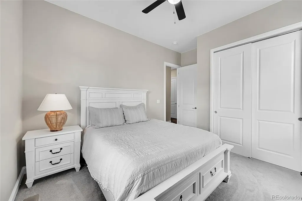 3303 Carabiner Street Castle Rock CO 80108