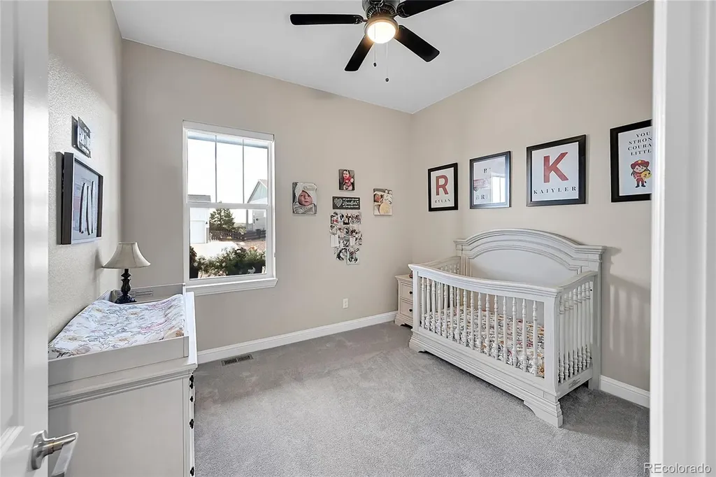 3303 Carabiner Street Castle Rock CO 80108