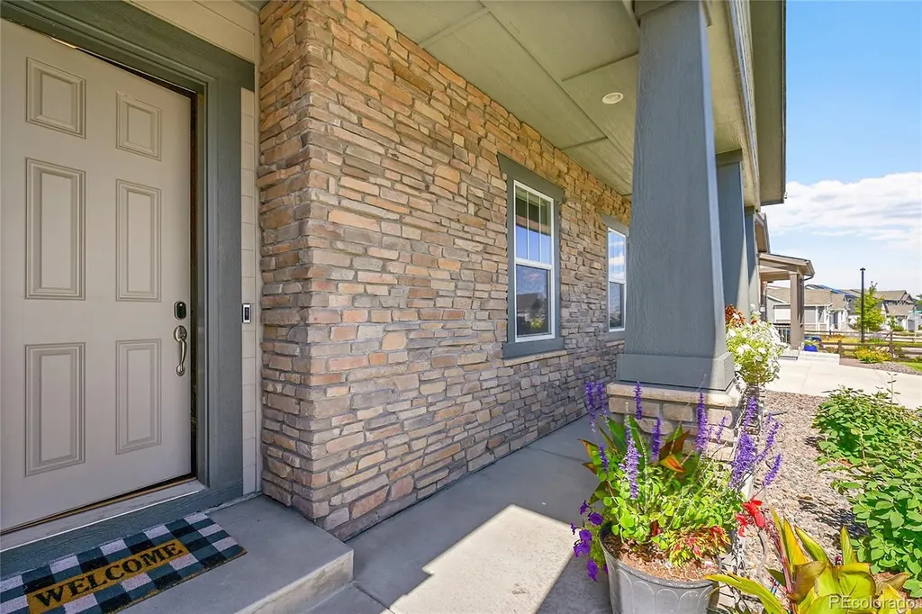 3303 Carabiner Street Castle Rock CO 80108