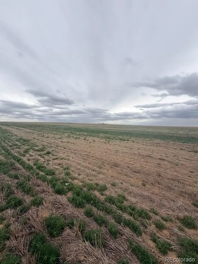 Wcr 81 And Co Road 8 Roggen CO 80652