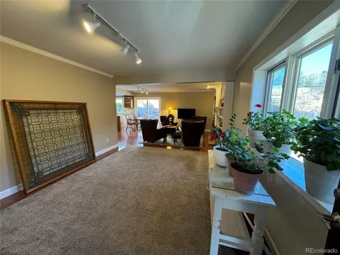 3019 Oro Blanco Drive Colorado Springs CO 80917